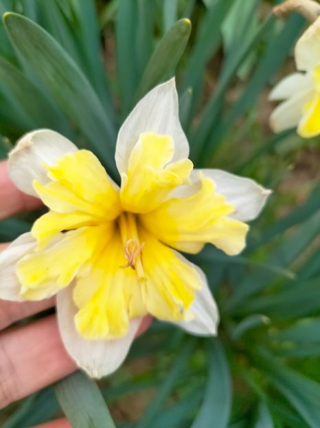 IMG20230407161544 - Aprilie 2023