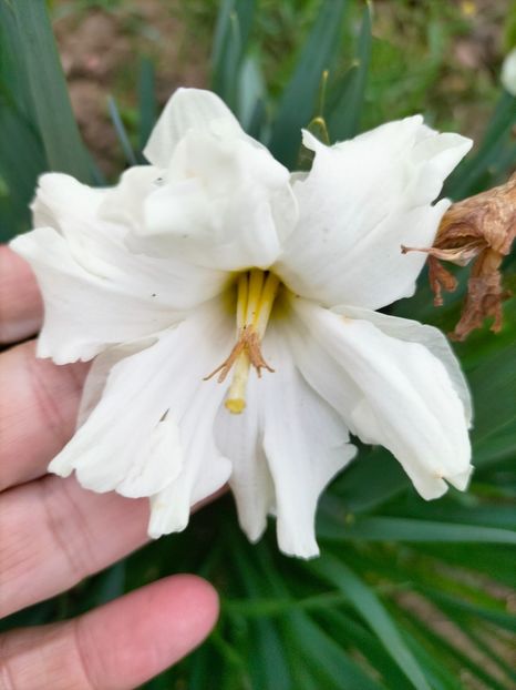 IMG20230407161533 - Aprilie 2023