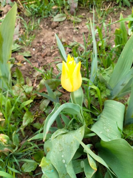 IMG20230407161449 - Aprilie 2023