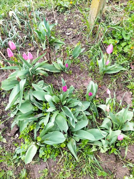 IMG20230407161340 - Aprilie 2023