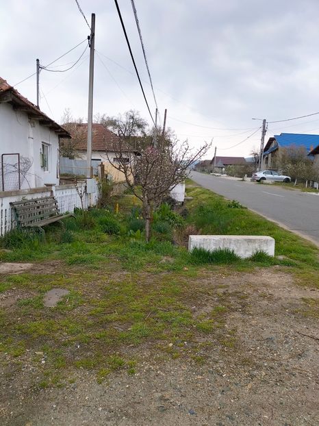 IMG20230407171305 - Gradina 2023