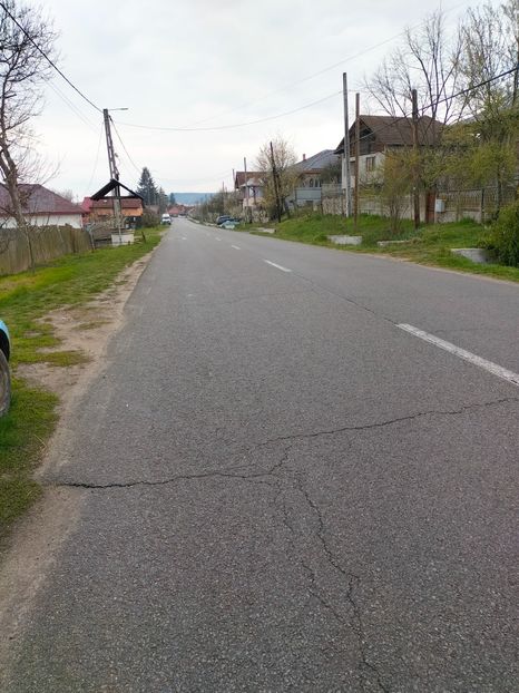 IMG20230407171237 - Gradina 2023