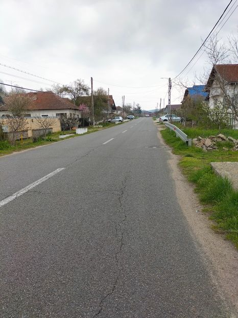 IMG20230407171233 - Gradina 2023