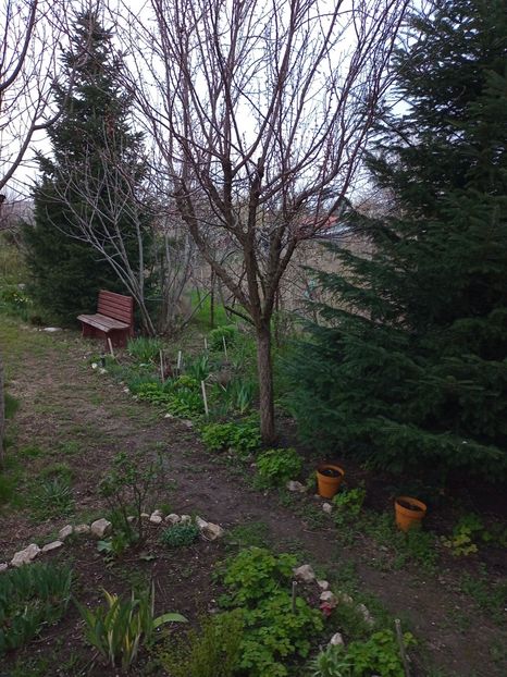 - Gradina primavara 2023