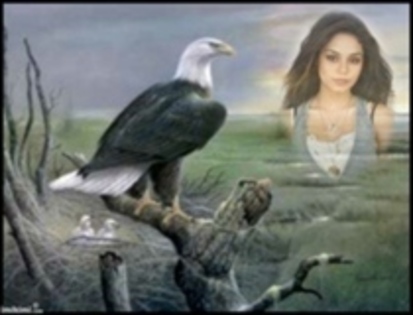 11518020_MBPQDJMNV - vanessa hudgens