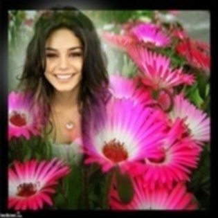 11518021_ZQOSTHZFQ - vanessa hudgens