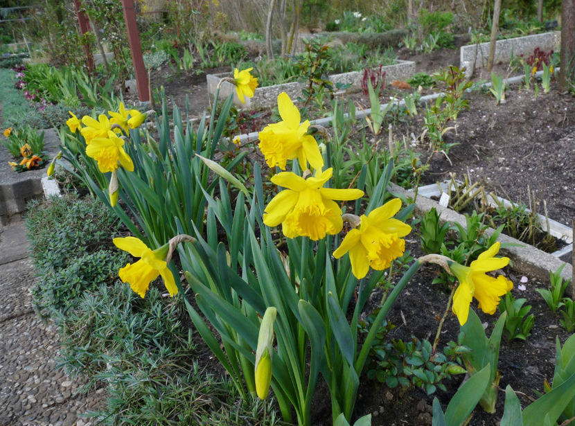  - 2023 - 01 - Primavara