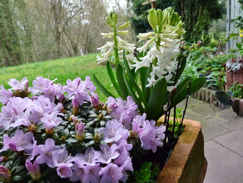  - 2023 - 01 - Primavara