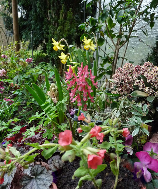  - 2023 - 01 - Primavara