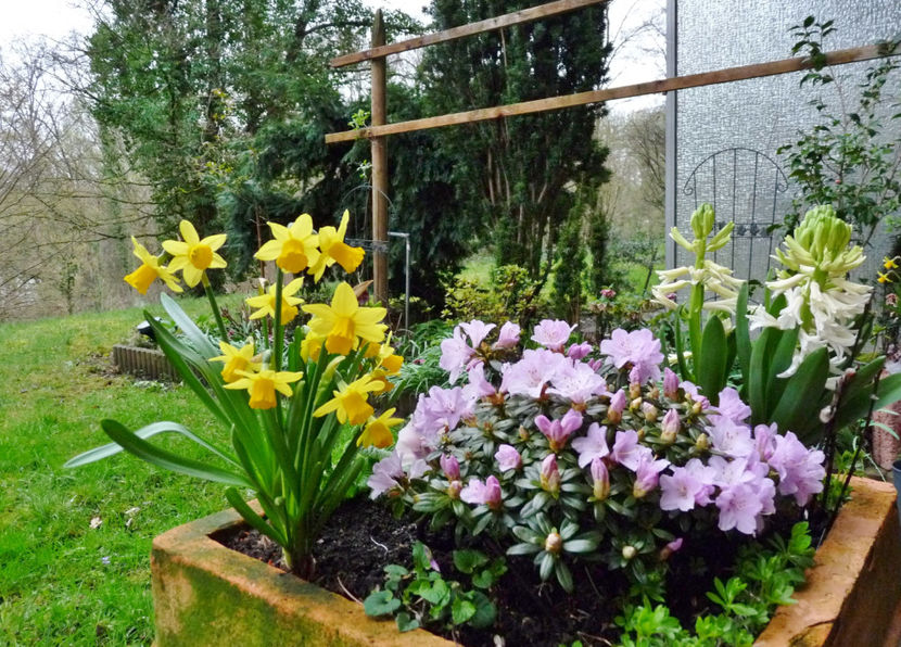  - 2023 - 01 - Primavara