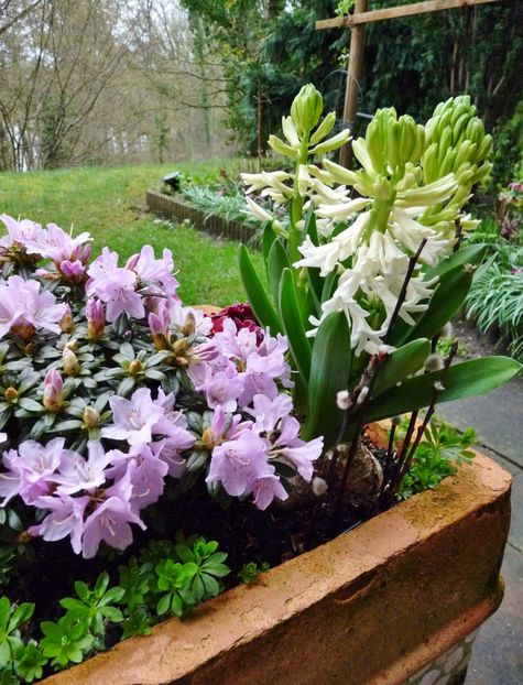  - 2023 - 01 - Primavara