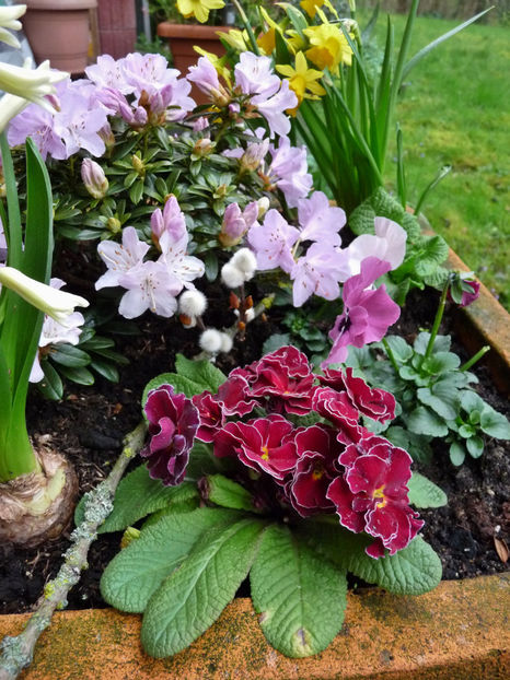  - 2023 - 01 - Primavara