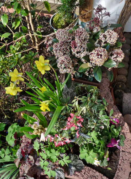  - 2023 - 01 - Primavara