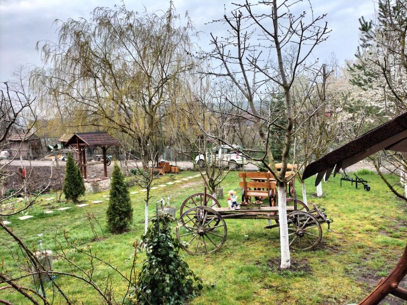 IMG20230409082249 - Primăvara 2023