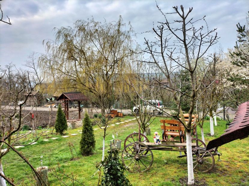 IMG20230409082243 - Primăvara 2023