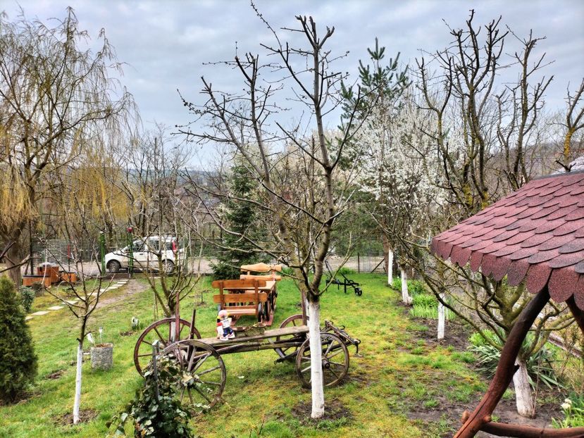 IMG20230409082213 - Primăvara 2023