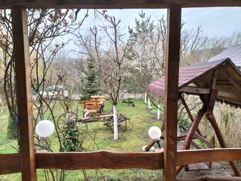 IMG20230409082153 - Primăvara 2023