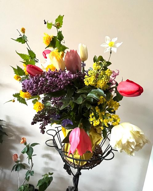 98D46824-9D1F-4A4F-A03F-7403C976E27A - Lalele 22 23