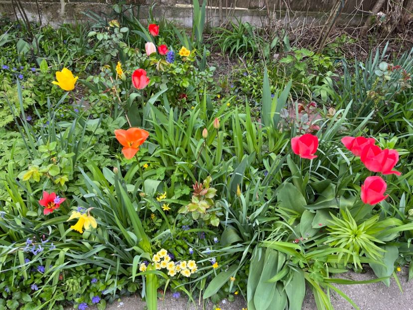 0251B843-D57F-46EC-BCDA-1044585DDC70 - Lalele 22 23