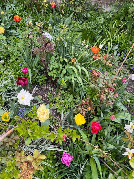 870A1B56-FBD4-4690-B5C1-10F71E76396C - Narcise 2017 2023 24