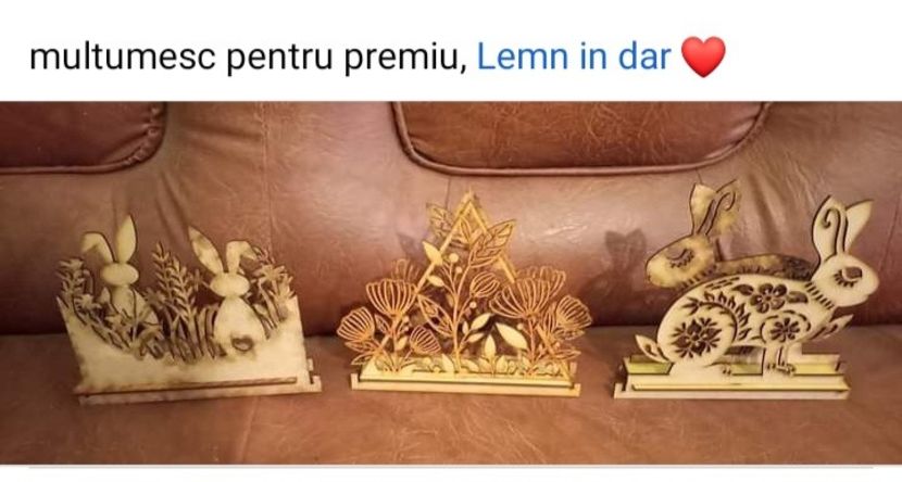  - Premii castigate la concursurile online