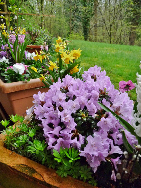  - 2023 - 01 - Primavara