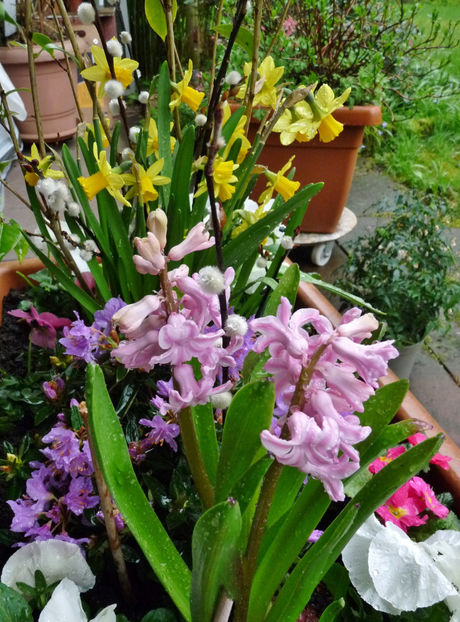  - 2023 - 01 - Primavara