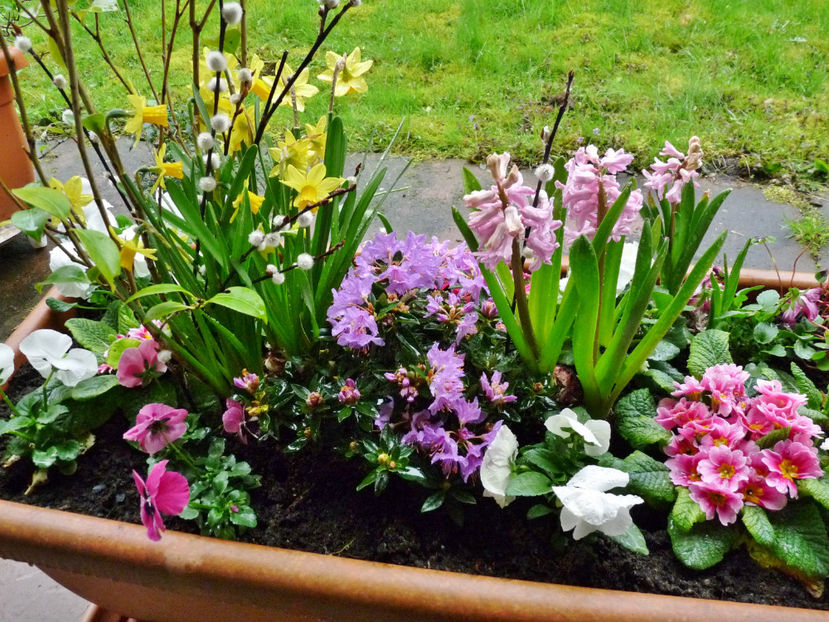  - 2023 - 01 - Primavara