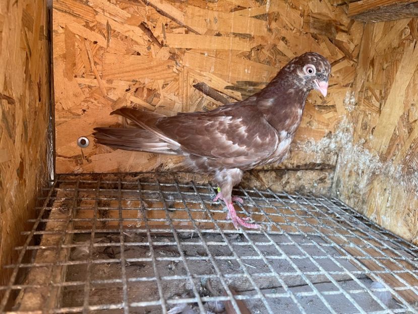 2970/23 - 6-lot zbor 2023