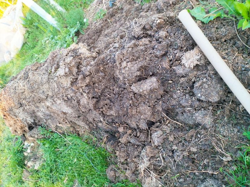 IMG20230415193224 - Gradina 2023