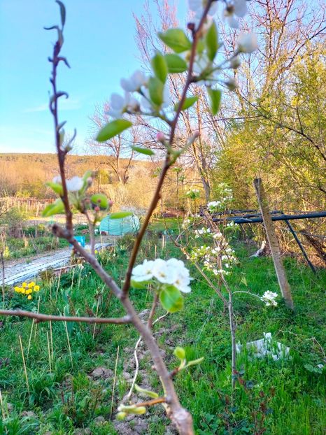 IMG20230415192552 - Gradina 2023