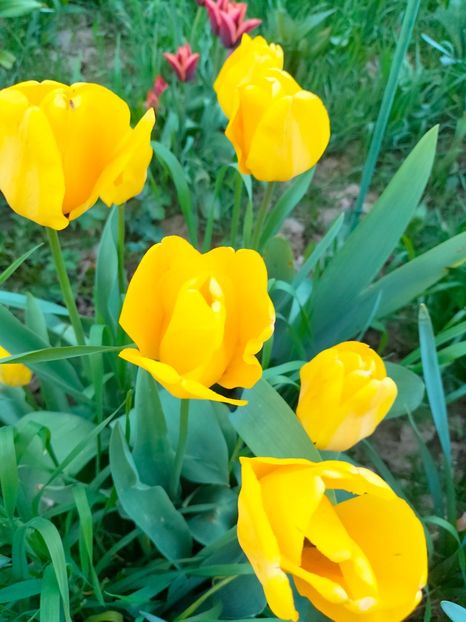 IMG20230415192523 - Aprilie 2023