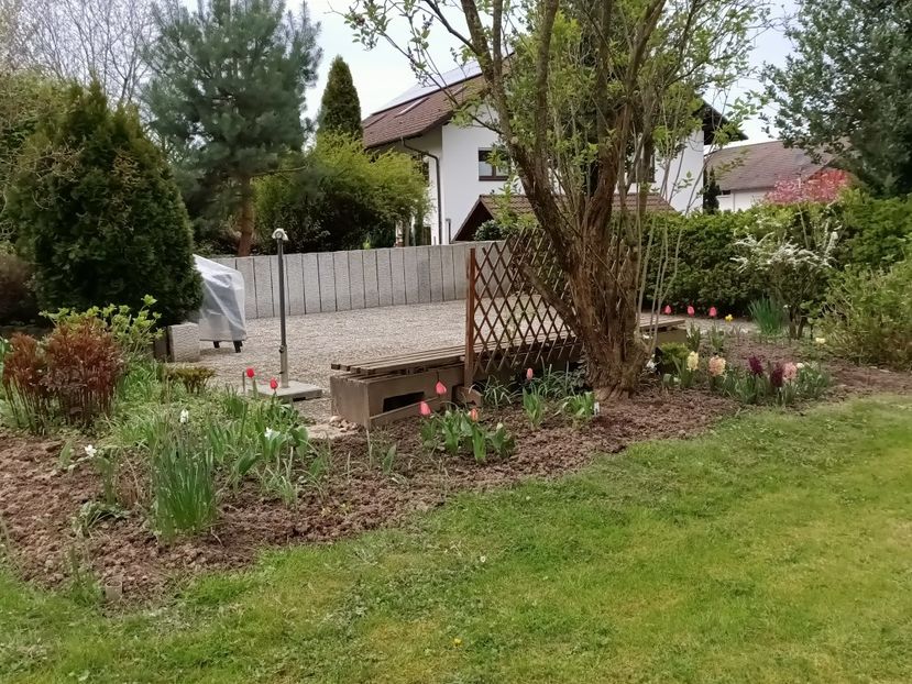 Img.2023.04.15 - Grădina mea