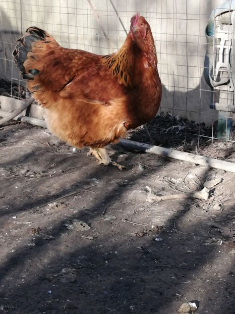  - 2023 New Hampshire