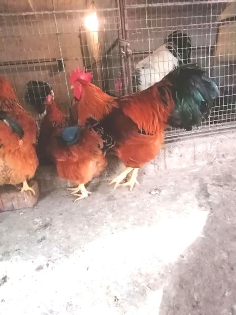  - 2023 New Hampshire