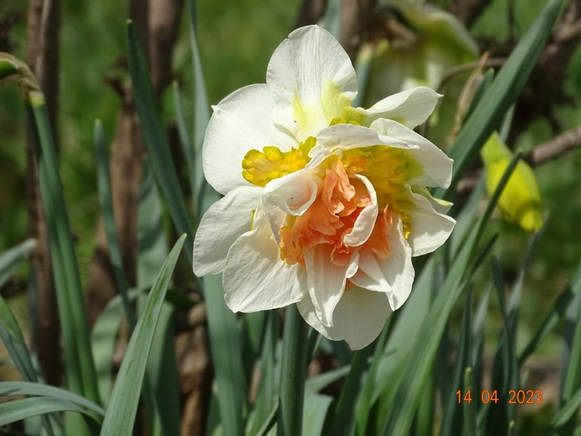 Replete - z-Dobarland 2023