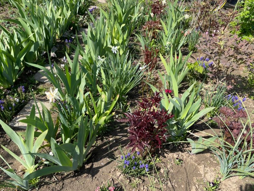 3A09A60C-0FC9-4525-A3B2-AFC87D637E88 - 01 Primăvara 2023