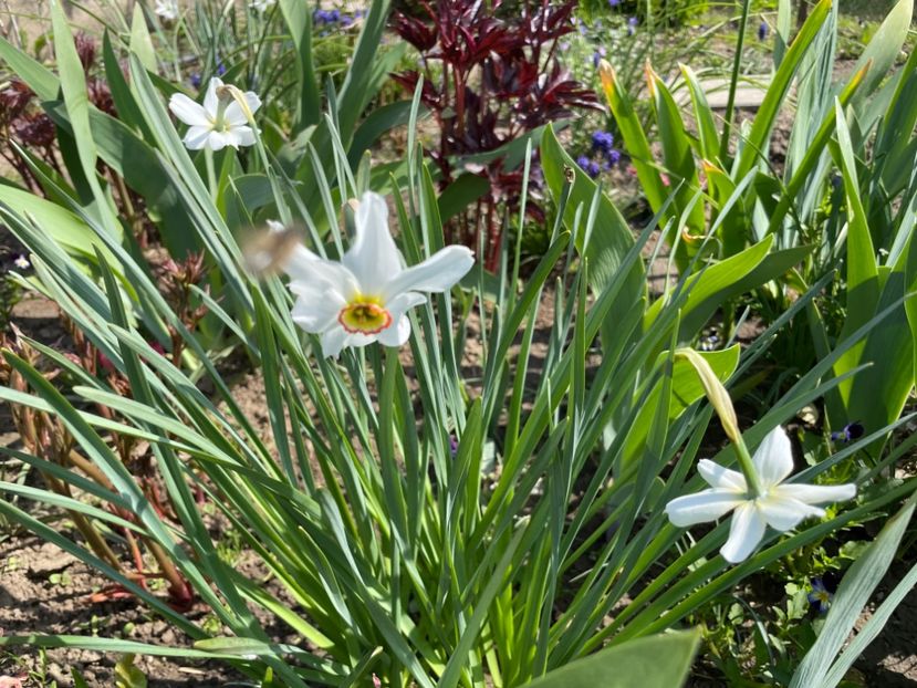 991F3A66-A201-47B5-9B74-1E148A8E3D56 - 01 Primăvara 2023