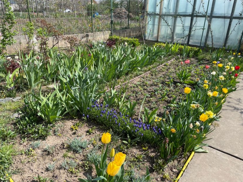 D698333E-A5F9-4EA6-9FD4-DFB722FE4E84 - 01 Primăvara 2023