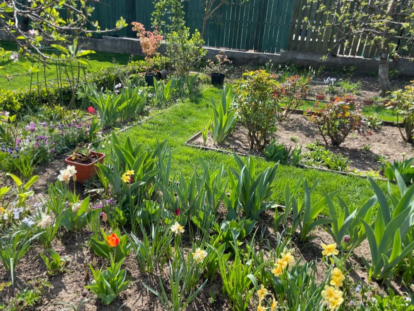 8EDE1052-1E87-4253-937A-E3DE4FF4CAAF - 01 Primăvara 2023