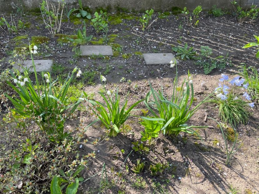 AE07AF6F-ADA0-4CA4-ABA7-F24B49D997E7 - 01 Primăvara 2023