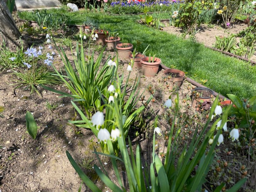 FFF3972D-AA46-4297-910B-B624435E59E0 - 01 Primăvara 2023