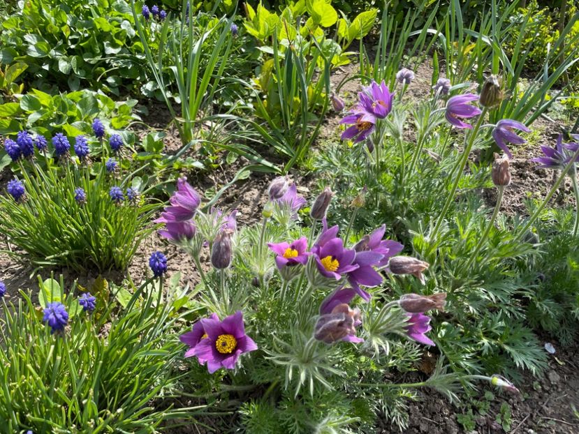 9A831924-5BE4-4166-9C57-8276ADC4C47C - 01 Primăvara 2023