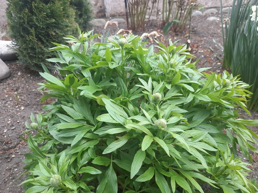  - 1 Bucurii nemuritoare 2023