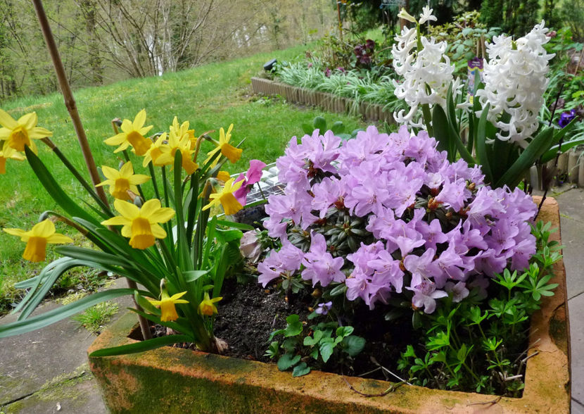  - 2023 - 01 - Primavara