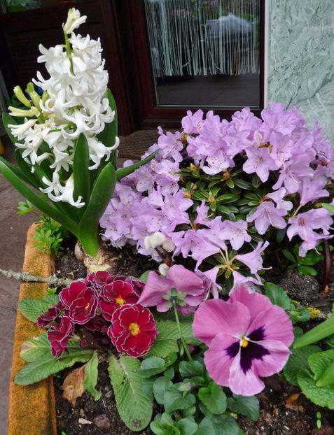  - 2023 - 01 - Primavara