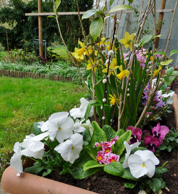  - 2023 - 01 - Primavara