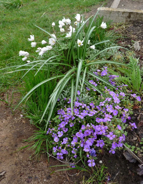  - 2023 - 01 - Primavara