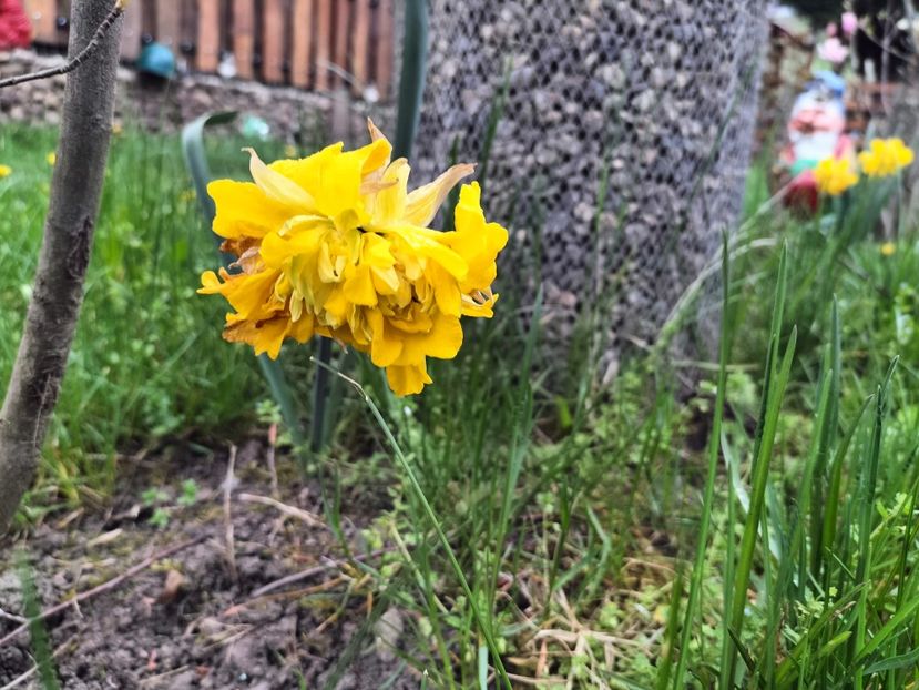 IMG20230417171651 - Primăvara 2023