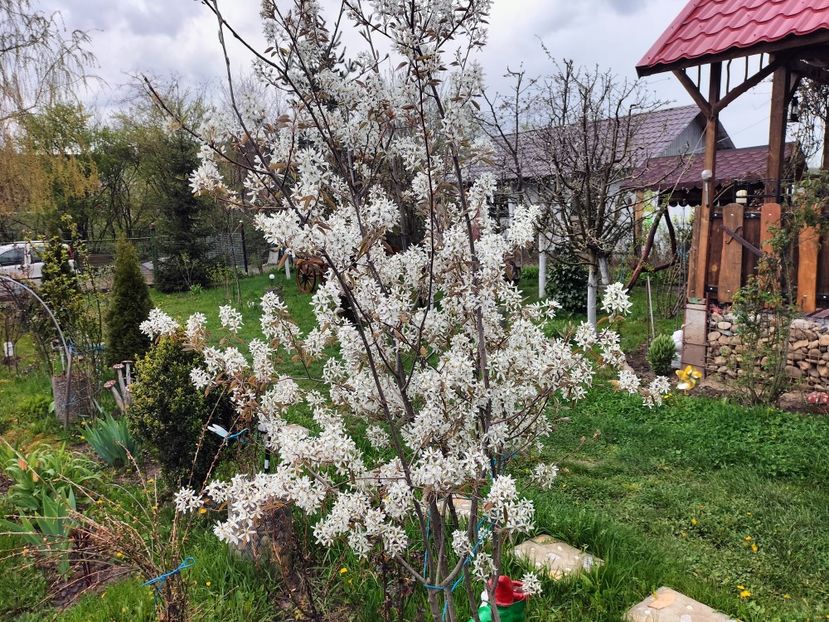 IMG20230417171408 - Primăvara 2023